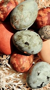 Easter Eggs Basket Close-up Easter Decor Stock Footage Video (100% Royalty-free) 3986915461 | Shutterstock