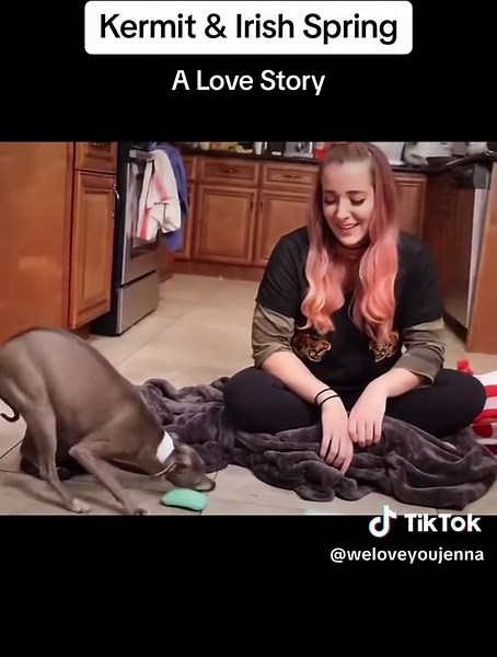 Kermit & Irish Spring: A Love Story