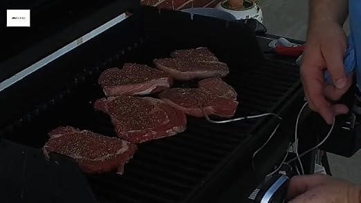 SMARTRO ST59 Digital Thermometer Operation Video