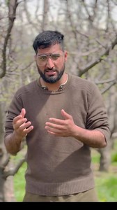 NATURAL POLLINATION vs PGR POLLINATION | The Garden Guardians