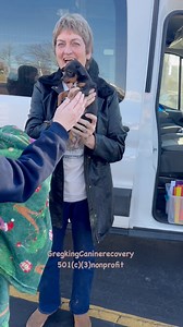 130 reactions · 12 shares | #Chihuahua #chihuahualove #puppy #pitbull...