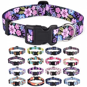 [Hot Item] Top-Grade Handmade Training Special Design Durable Adjustable Personalized Breakable Soft Retractable Air-Tag Dog Collar with Release Buckle for Medium Pet Dogs