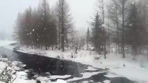 Winter scene today. Baraga County. | Upper Peninsula of Michigan