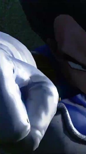 Vegeta vs Sasuke! (Dragon Ball Super vs Naruto) #animationrewind #cartoonfightclub #vegeta #sasuke #naruto #goku #narutoshippuden #3danimation #anime #dbz #dragonball