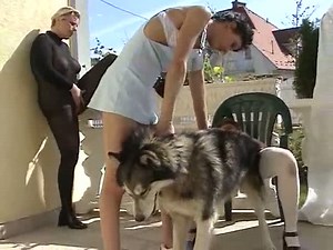 Un trio de lesbienne zoophile baise avec un chien.