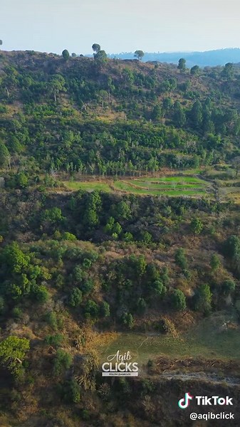 Aerial View of Lush Green Mountain Landscape