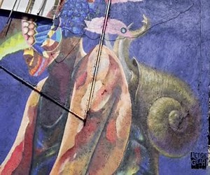  #ActionGear | Action Gear | Facebook