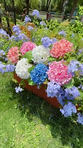 IPOPU Pink Hydrangea Artificial Flowers 4pcs Faux Hydrangea Flowers with Stem Realistic Silk Fake Hydrangea Flowers for Wedding Party Indoor Baby Shower Home Centerpiece Table Decorations (Deep Pink)