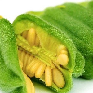 195K views · 2K reactions | Smart growing plant hacks for your inner gardener  | 5-Minute Crafts Teens | Facebook