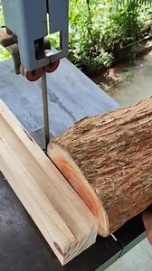 How to make a night lamp from a wooden tree trunk #lamp #wood #woodworking#tools | LoveLife