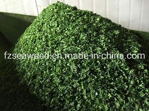 [Hot Item] Top Quality Dried Sea Lettuce Seaweed- Ulva Lactuca