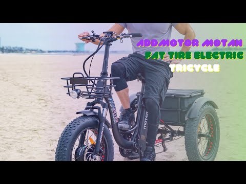 Addmotor Motan 750W Fat Tire Electric Tricycle