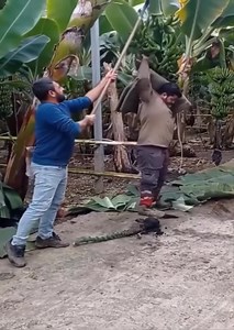 1.8K views · 18 reactions | this is too cute | The AnnaLynne McCord | Facebook