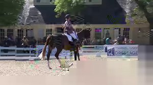 Gjenganger (Grand Galaxy Win x Donna Dee/Blue Hors Don), ridden by Alice Tarjan, is your 2020 Markel Horse/USEF Young Horse Four-Year-Old Dressage National Champion! 🏆 Alice Tarjan is the lucky owner of both the National and Reserve National Champions in the Four-Year-Old division, both 🇺🇸 bred by Grand Galaxy Win! | USA Dressage