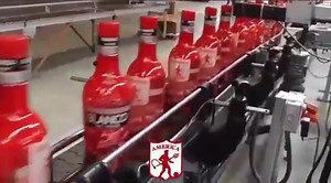 154K views · 5.3K reactions | Se vendra una edición especial 樂  | Don Diablo | Facebook