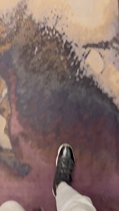 Reggie Bush on Reels