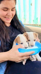 81K views · 3.9K reactions | Two angels in one frame #puppy #puppies #puppylove #puppylovers #puppylife #dogmother #dogmom #dog #dogs #dogfood #doglife #doglover #doglovers #supportus #blessings #love #reels #viral #instareels #insta #instagram #fb #fbreels #fbreelsvideo #fbreelsfypシ゚viral | Bezubaanjaan1517 | Facebook
