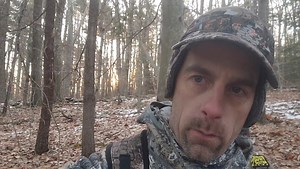 3.5K views · 56 reactions | Just a quick video to remind you to enjoy the woods and everything you come across. | Beastmode Bowhunting | Facebook
