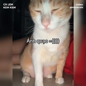 Dính hơn keo 502 nữa :))) | Cà Lem Kem Kem