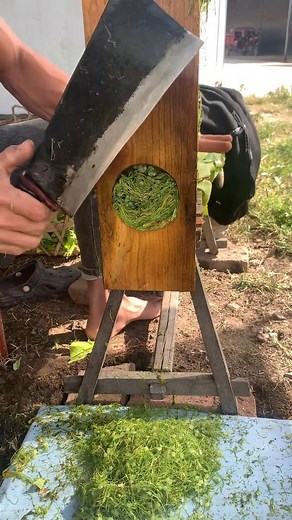 Amazing thin leaf slicing skills | Richard JOE