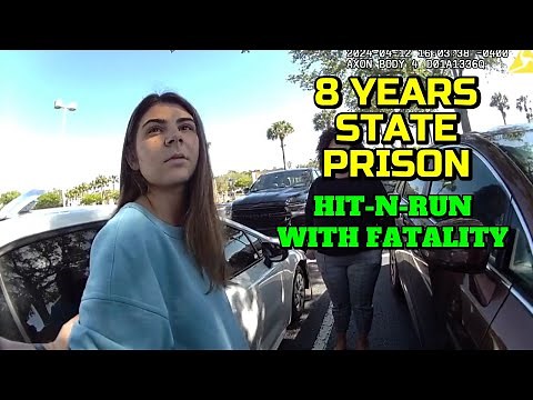 Leaving the Scene of an Accident Involving Death - Pinellas Park, Florida - April 11, 2024