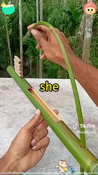 Kees Tonia on TikTok