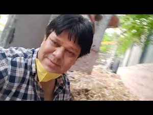 गाय माता का पुत्र से लाड़-प्यार 👏👏