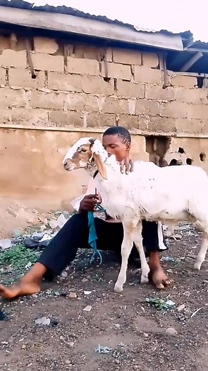Funny skit 🤣 #funny | IG comedian