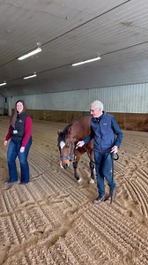 19 reactions | A video of Gov. Evers leading a horse around a barn with staff from Trinity Equestrian Center. | Governor Tony Evers | Facebook