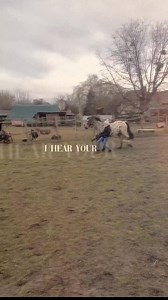 6.2K views · 126 reactions | ️️Jön a MÁSODIK OnLine Lovakkal...