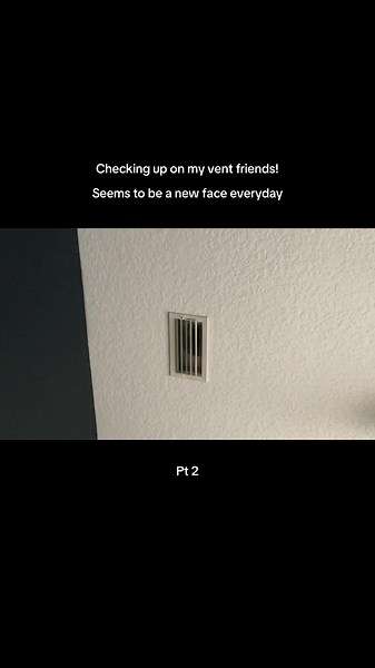 There are many of them. #creepy #face #paranormal #vent #hide | vent