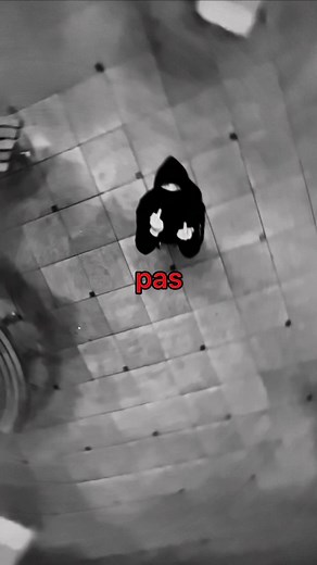 continuer à faire semblant ou changer de fréquentation ? #devinelapersonne #fypシ