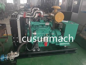 [Hot Item] Ricardo Engine 50kw Biogas Power Genset Silent Type