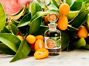 Dalandan (citrus Aurantium) Essential Oil Filipino Orange Oil Small Distiller Clean Citrus Notes Rare Citrus Natural Perfumery Skin Care - Etsy