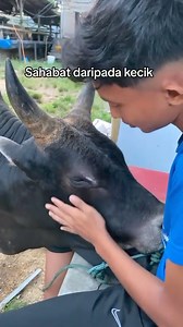 Sahabat tiada ganti… erti pengorbanan sebenar, korbankan sesuatu yang paling kita sayangi utk Allah SWT.. 🥺❤️ Kredit video: TikTok farid.nadzm | Lobak Merah