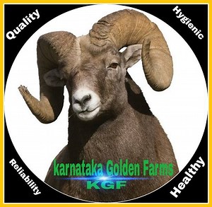 Bore well recharge technique | United Golden Farms of Karnataka