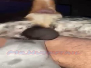 Man gets fucked and knotted