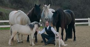 19 reactions | Behind the scenes with Steve Paulson during the Sidelines cover shoot with Lori Ovanessian  Stay tuned for more great videos courtesy of Justin Cummings  | Sidelines Magazine | Facebook