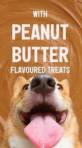 Give your dog more yummy peanut butter flavoured choices with Milk- Bone Stacked and Milk-Bone Dipped biscuits. More Dog, More Love, More Milk-Bone. #MilkBoneFun #MoreDog #MilkBone #GoodDoggo #DogsOfInstagram #Doggos #TreatTime #DogTreats #PeanutButter #PeanutButterLover | Milk-Bone Canada