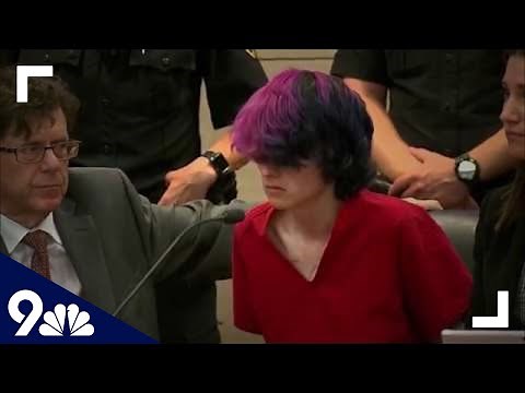 RAW: Suspect in Colorado STEM school shooting appears in court
