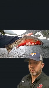 Largest ranch in New Mexico #largeranches #yellowstonetv #duderanch #hunting #turner #dutton #bison | James Bigley Ranches