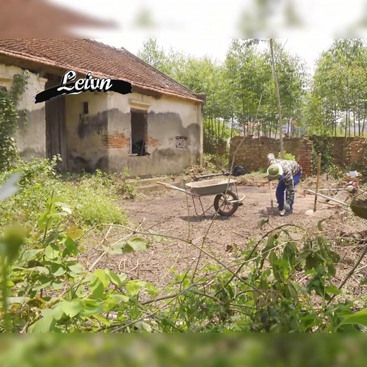 I was scared when I met a giant python in an aband Cre:Clean up 91 . . . . . #deepcleaning #oddlysatisfying #beforeandafter #makeover #transformation #sariafyingcleaning #sparklingclean #tidyup #deepclean #homecleaning #putzen #nettoyer #cleaning #rivercleanup #cleanupthedirtykitchen #cleantok #superclean #kitchencleaner #limpiezahogar #cleaningforfee #housecleaning #kitchencleaning #bedroomcleaning #livingroomcleaning #cleanupthetrash #cleanupthedirtyroom | Ping 35