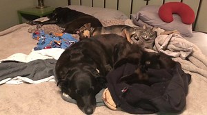 Every night 😳 | Paula Nelson