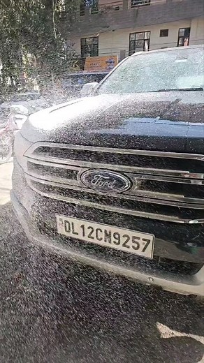 754 reactions | 6 Years Old Ford Endeavour Got 32waxproplus. Contact Us At 9810223369 | Connaught Care | Facebook