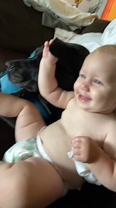 10K views · 529 reactions | Playtime shenanigans and giggles with the ultimate pet dog buddy.#babyanddogadventures #pawsomeplaydates | Reader's Digest | Facebook