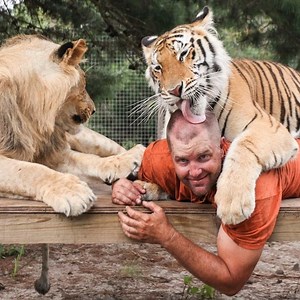 Big Cat Enthusiast Owns Six Tigers And Two Lion! | Lionland