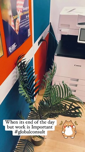 1.8K views · 21 reactions | Global Consult on Reels | Facebook