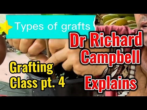 A great Grafting tutorial by Dr Richard Campbell: cleft, side veneer, & bud grafts