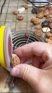 Nucleolar carving process | ACE Close