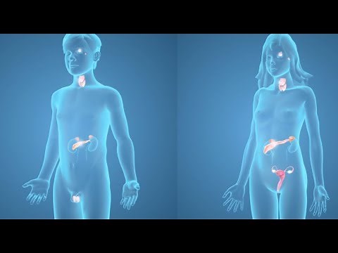 What is Puberty? Signs and Symptoms of Puberty in Girls and Boys